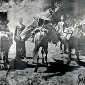 №3-1930 g v dalnix selax